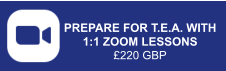 PREPARE FOR T.E.A. WITH 1:1 ZOOM LESSONS £220 GBP